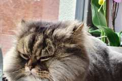 aab99cec-5507-46db-a809-22a461e2c034